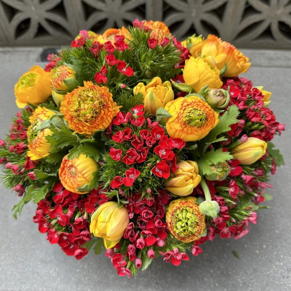 Bright and Happy - Image 3
