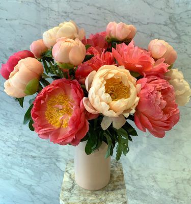 Peony Dream