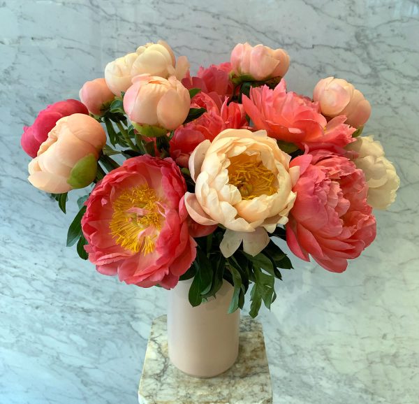 Peony Dream
