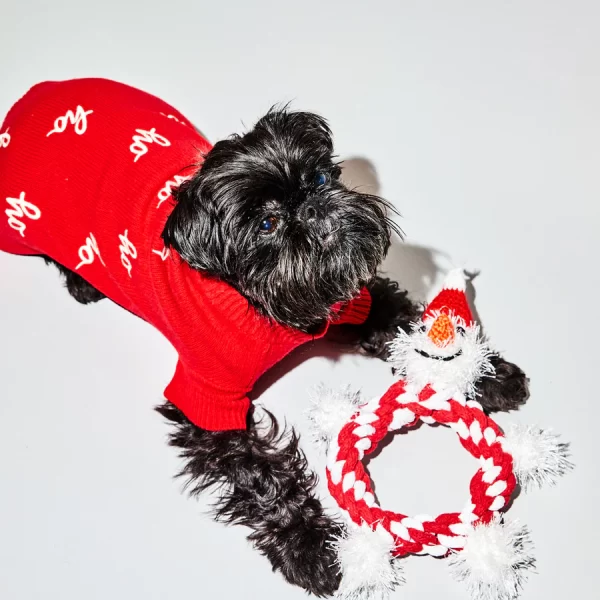 Plush Dog Toys — Holiday - Image 6